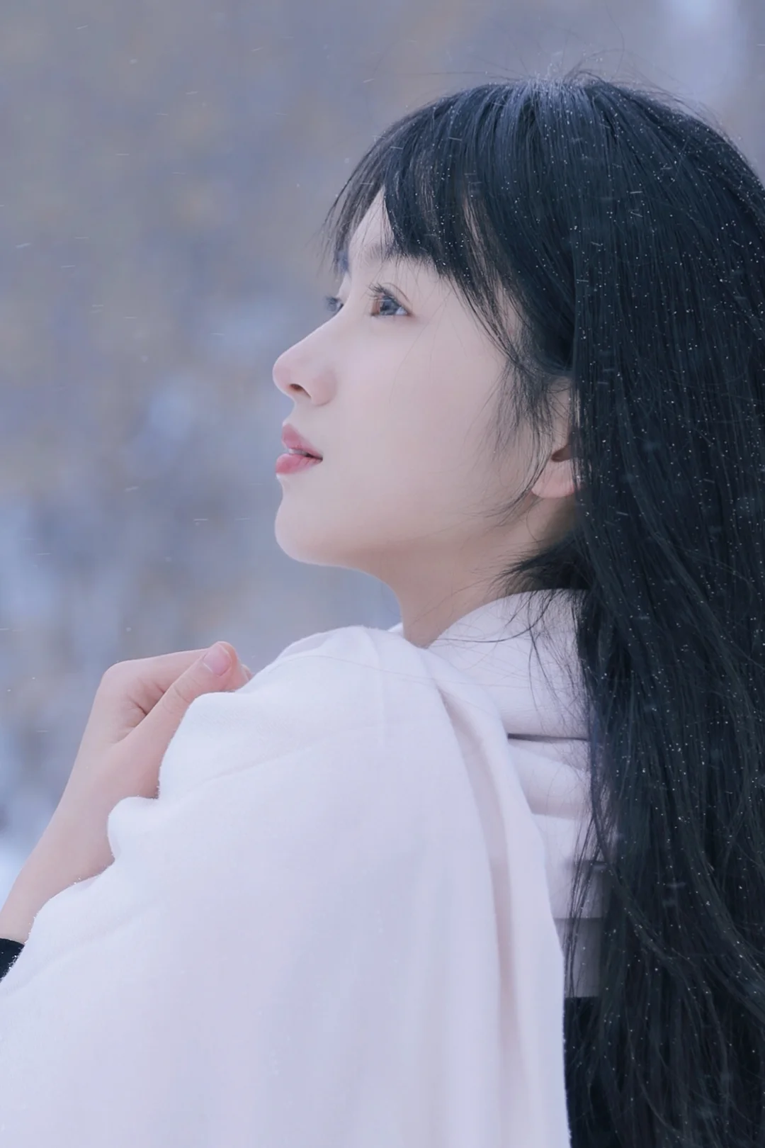 融化之前再看看雪吧