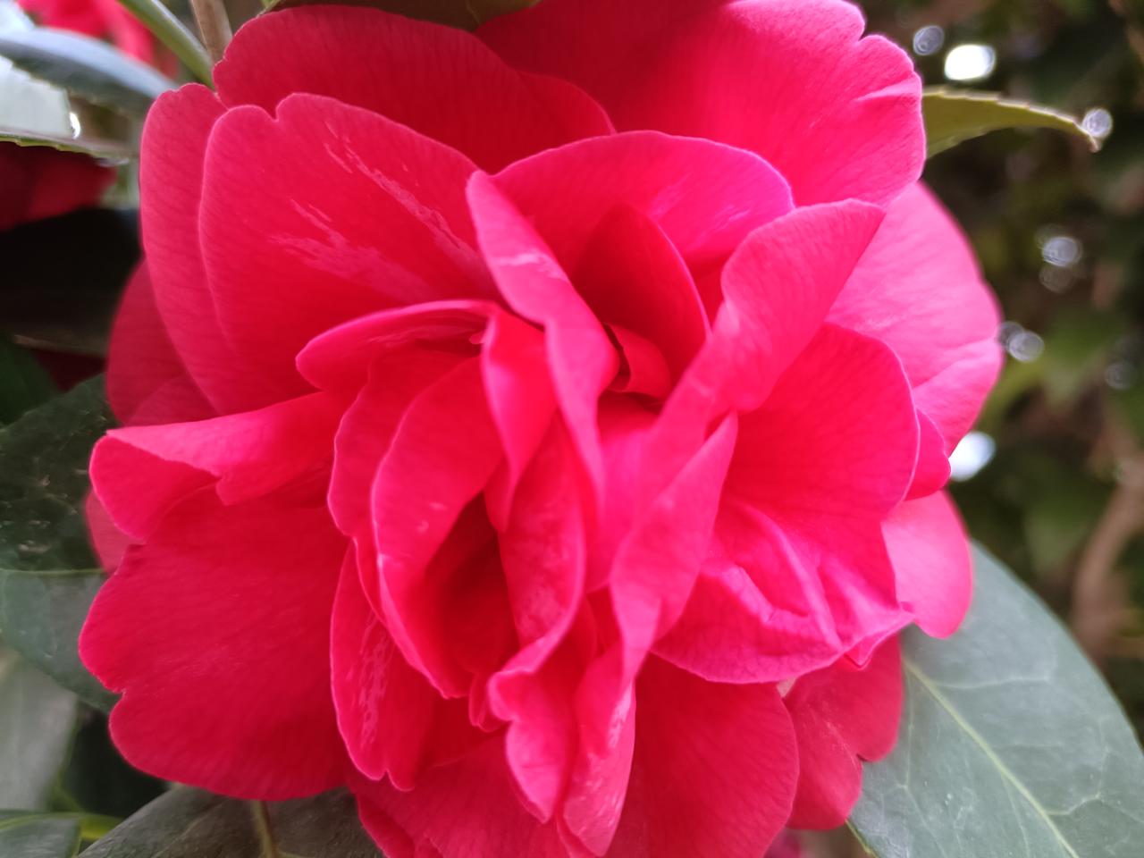 台湾统一最有可能以什么样的方式