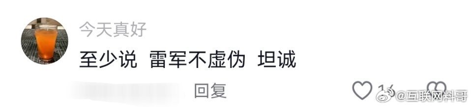 网友对雷军的认知！ 