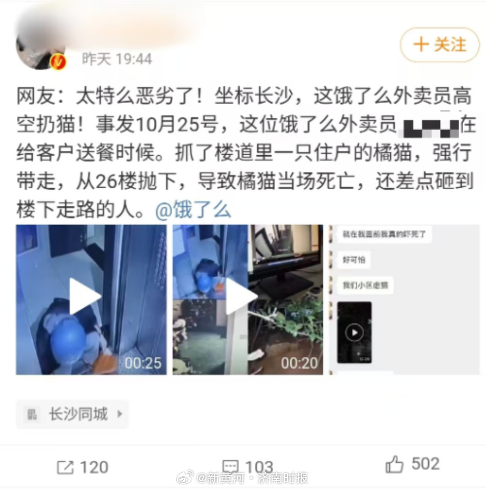 【#多方回应网传饿了么外卖员虐猫#】近日，有网友在社交平台爆料称，疑似饿了么一外