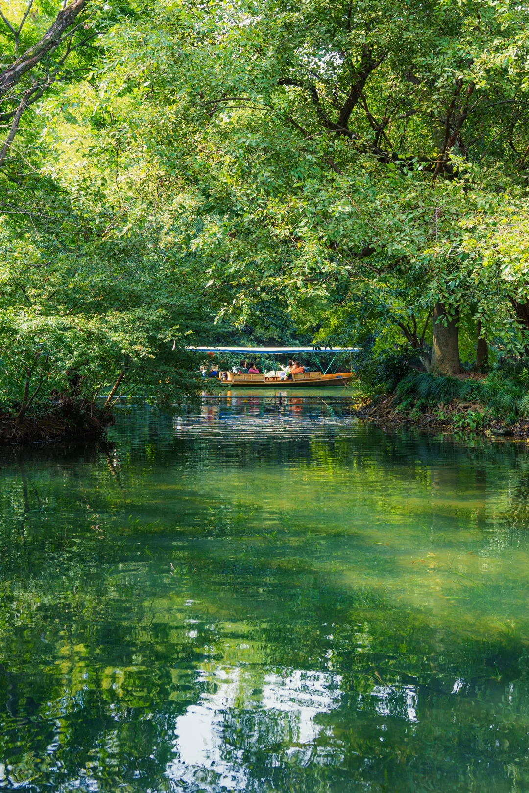 杭州48h｜适合i人的吸氧citywalk路线