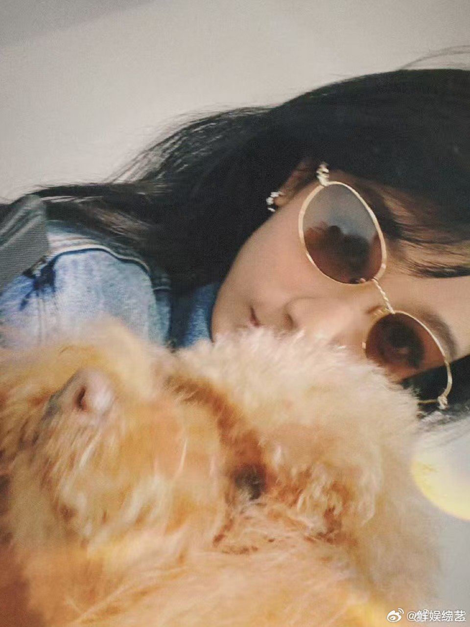 杨紫我爱我的小piu杨紫晒和小piu合照 这些照片里有两只都很可爱杨紫镜头下的小