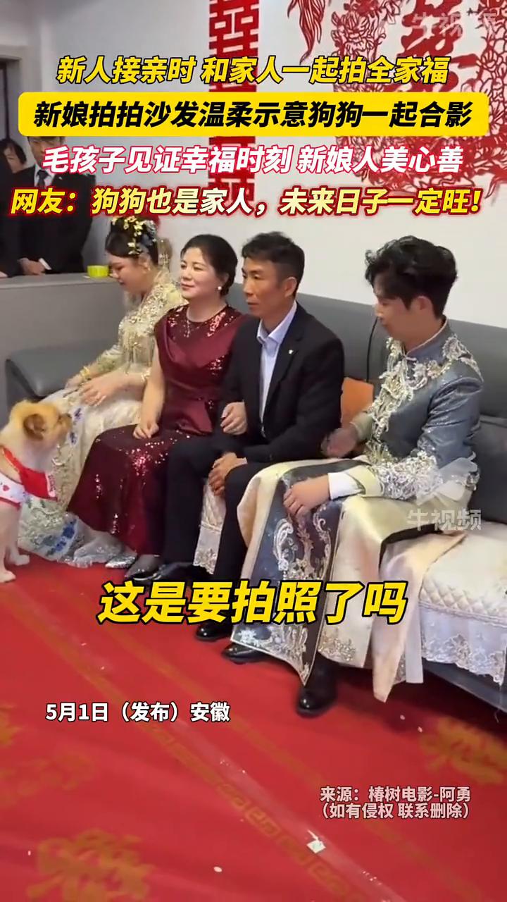 新人接亲时和家人一起拍全家福，新娘拍拍沙发温柔示意狗狗一起合影，毛孩子见证幸福时