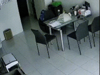 看着挺可怕的。
听说是地板美缝导致的。