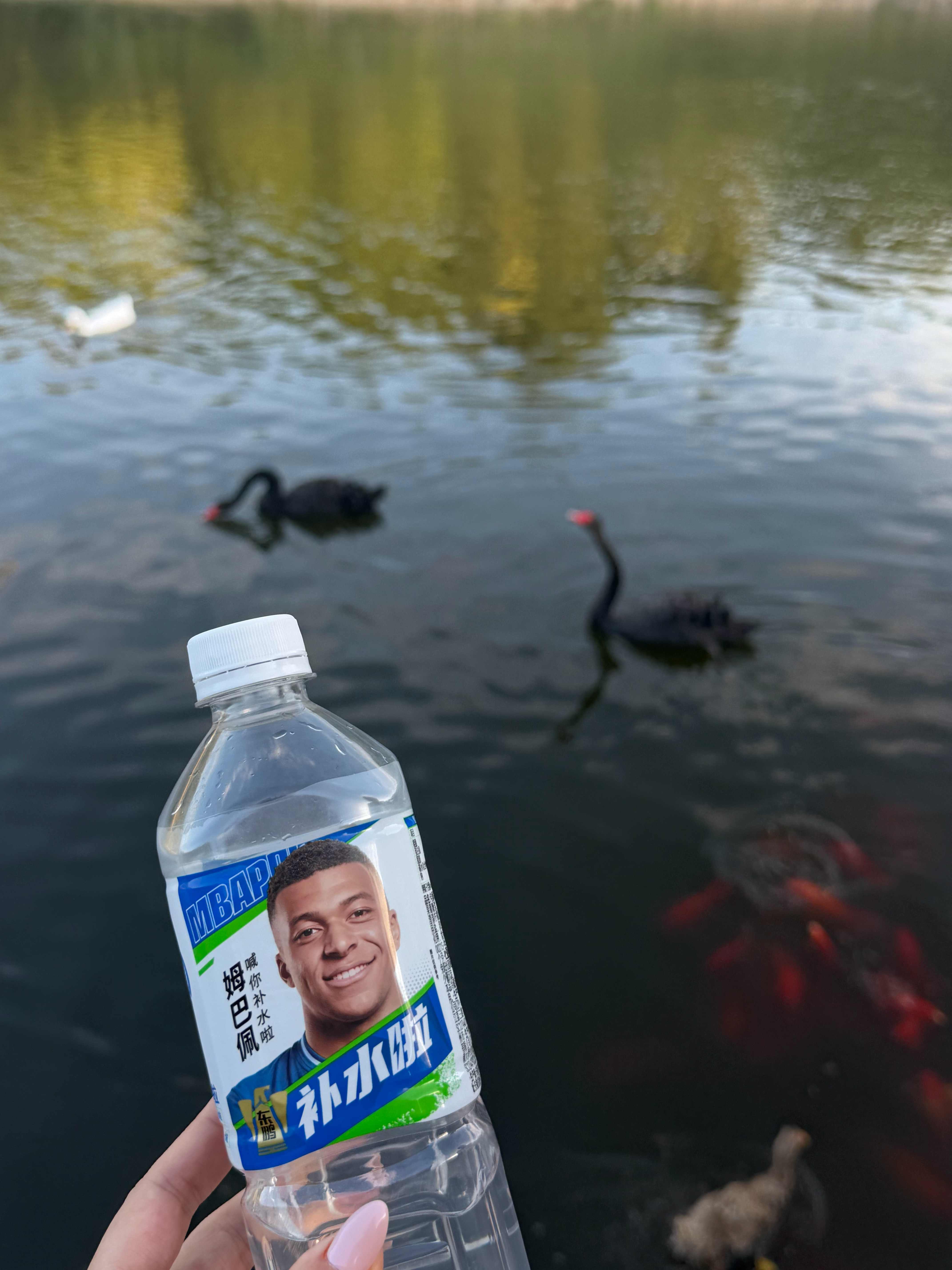 爬山好搭子 ​​​