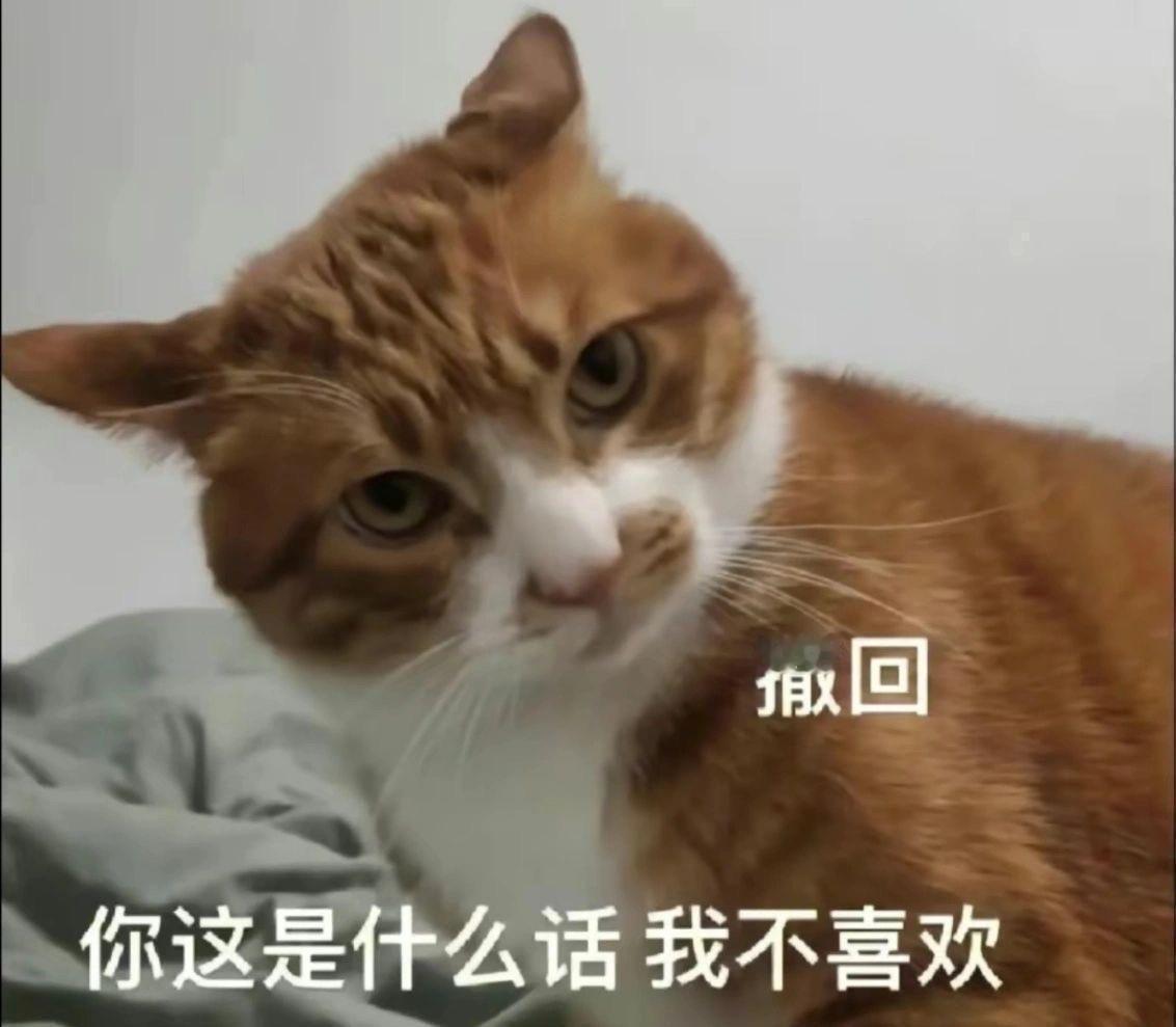 实用小猫表情包｜表情包分享 