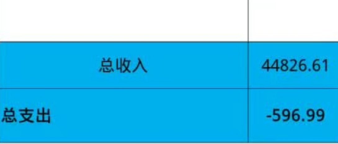 姐妹们帮我看看这个收支负500是什么意思啊[笑cry] ​​​