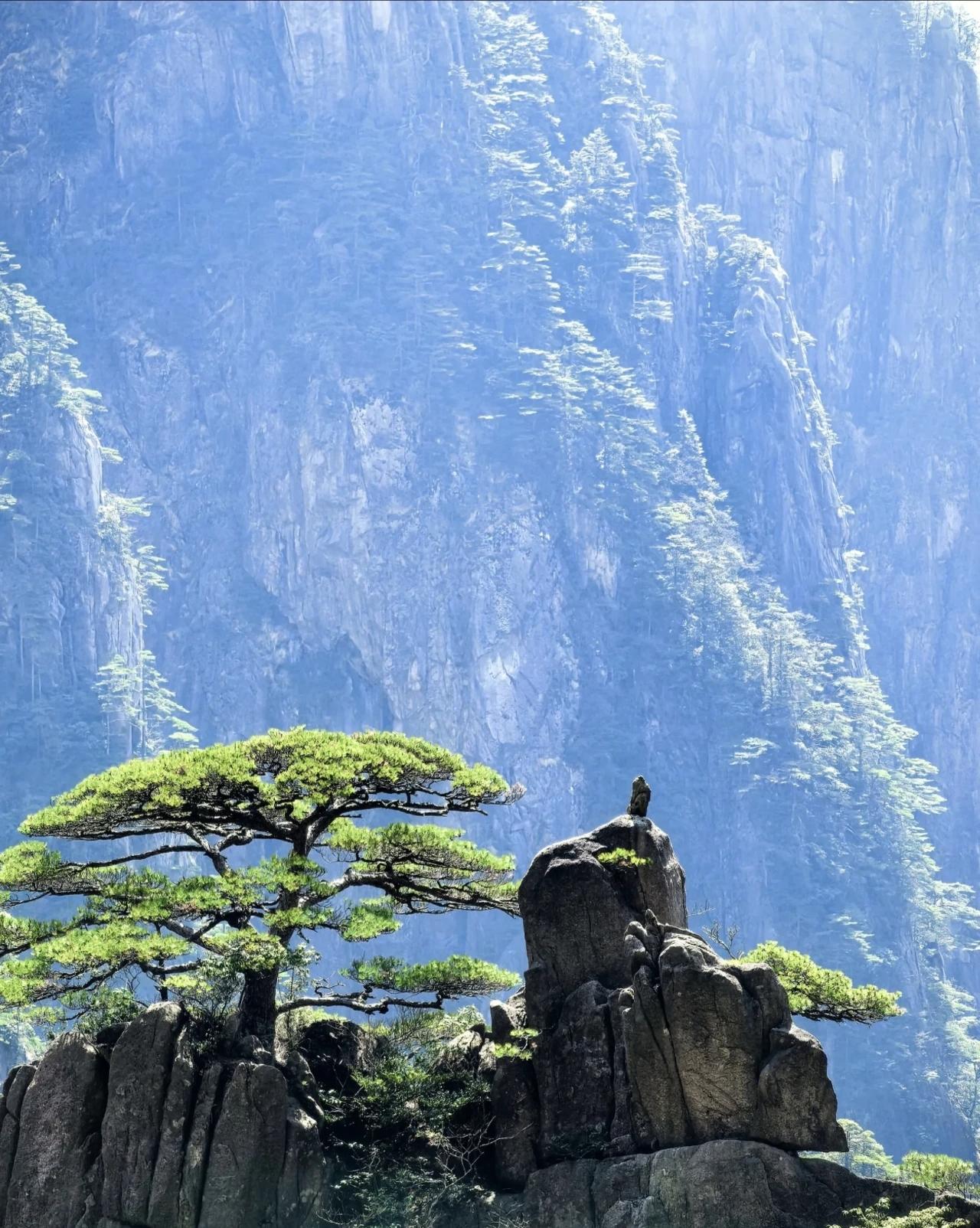 辞旧迎新，2026年要去安徽这个旅游景区一定要小心！登黄山，练就“氪金玩家”体质