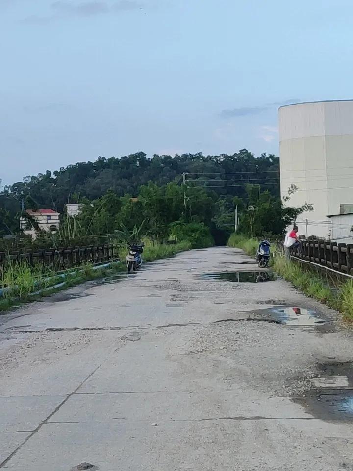乡下路上的风景，那真是城市里看不到的宝藏。
前几天我回乡下，一踏上那路，就被迷住