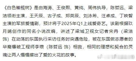 陈哲远、梁洁主演的白色橄榄树 预计一月播这本书应该很火吧，没拍前抖音经常刷到有人