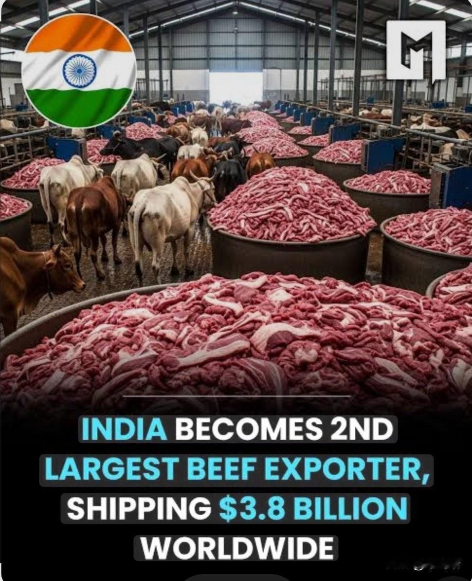 印度是全球主要的牛肉出口国之一，但具体排名（第二或第三）和出口额（约32亿至38