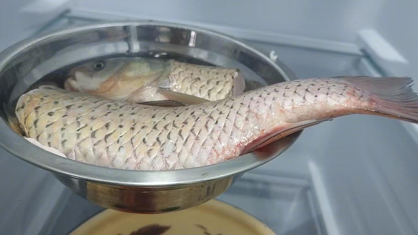 我的小咪是钓鱼高手 