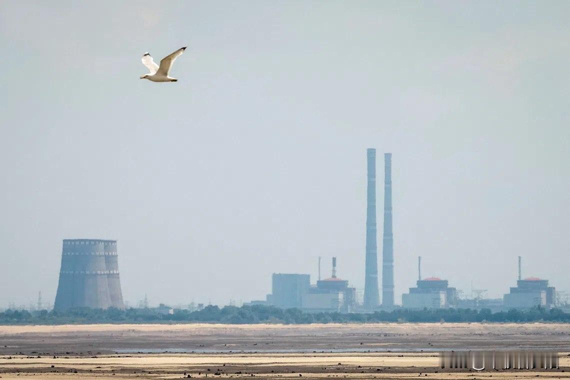 12月6日，扎波罗热核电站又出惊险状况：国际原子能机构总干事证实，这座欧洲最大核