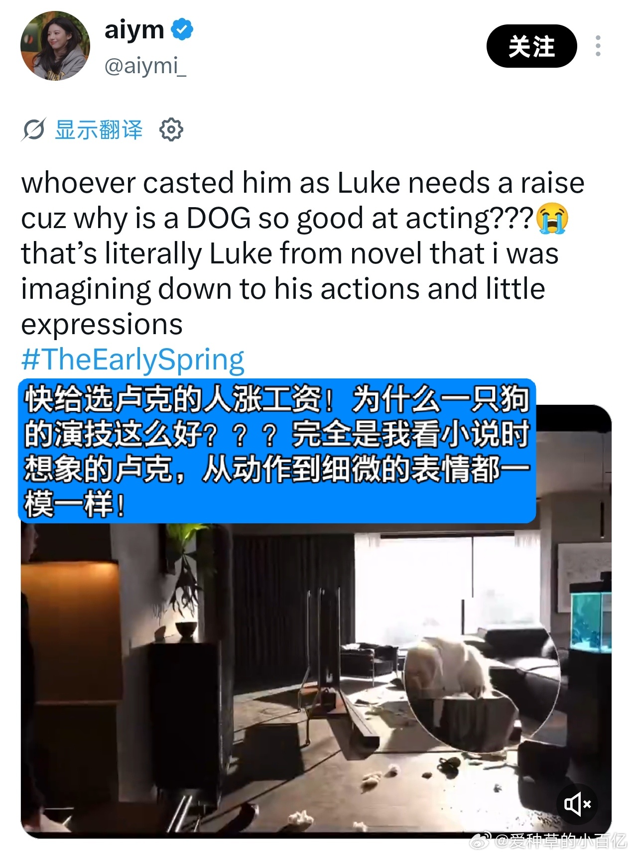 海外观众对井柏然新剧的评价早春晴朗 西装造型火到海外！不少海外观众被井柏然剧中穿