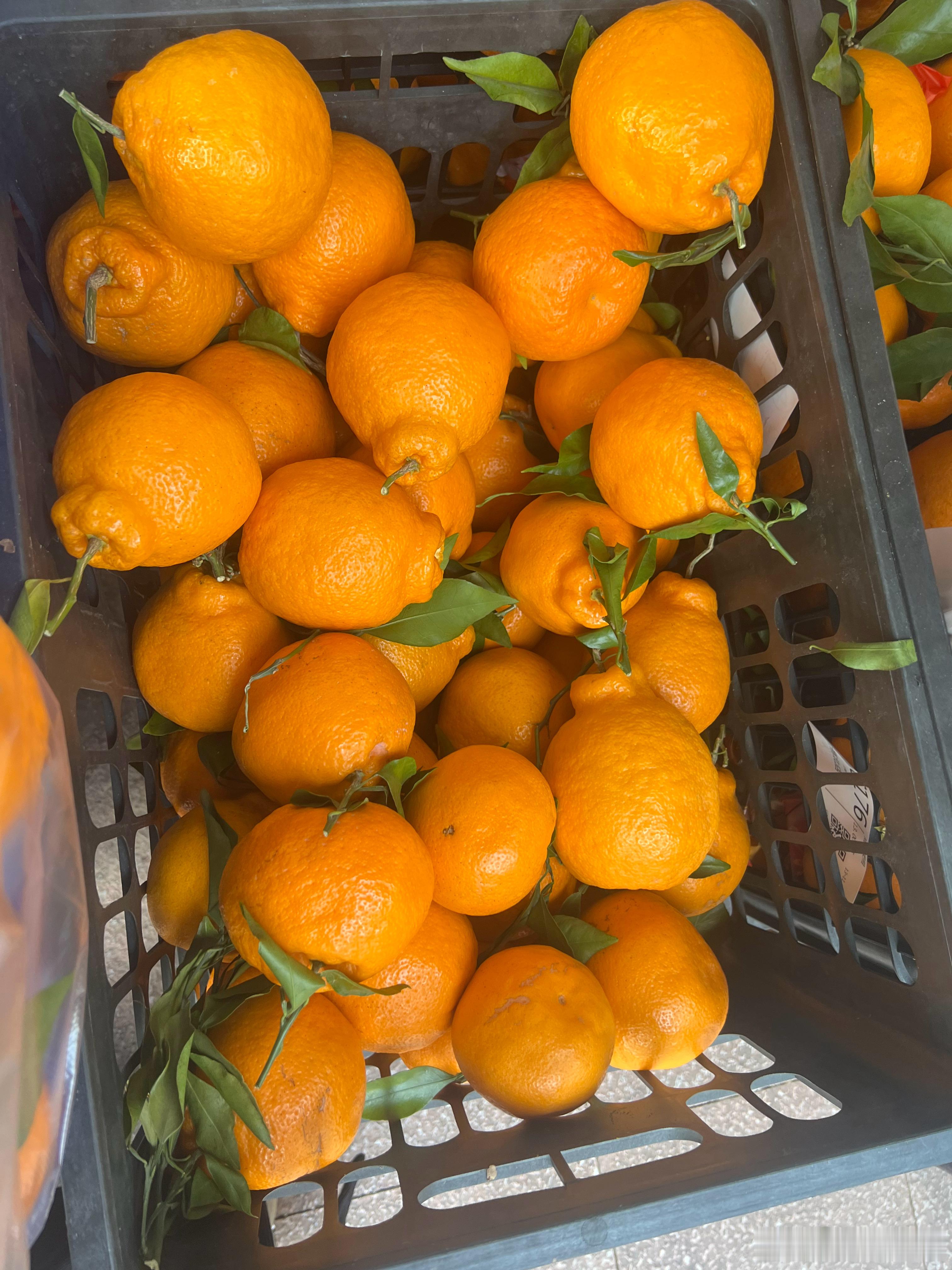 这种粑粑柑真是人类的好朋友～好吃好甜还好剥～最近我们家真的粉上它了