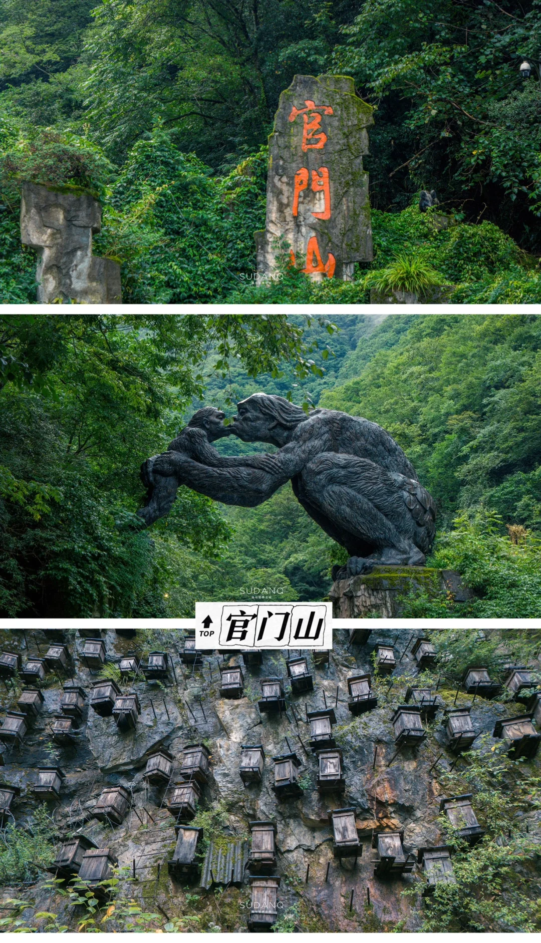 去了三趟神农架‼️真心建议：千万别来晚了啊