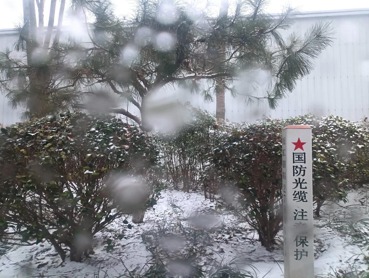 豫东三月桃花雪！
   今天下午，河南豫东大地，雪花飘飘，甚是一道靓丽的风景。