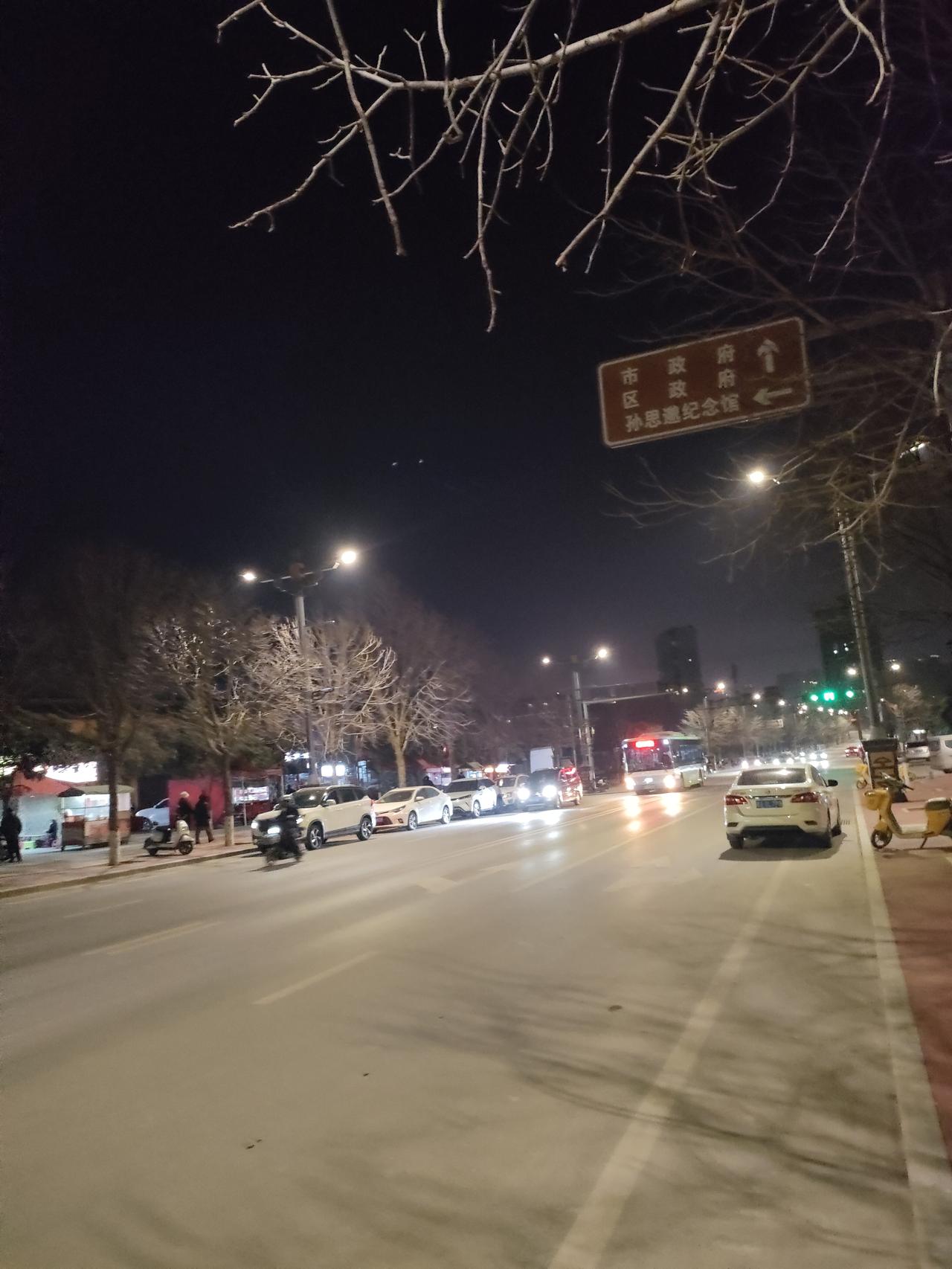 路灯把车流晕成流动的星河，枯枝在夜空下悬着，城市的每个路口都藏着奔赴与归程的故事