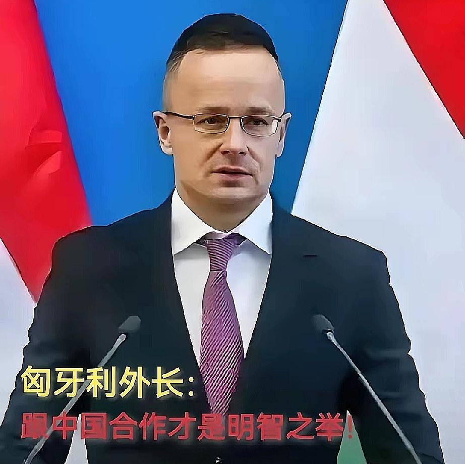 现在全欧洲最后悔的就是德国了吧！
不是因为中国，也不是因为美国
而是因为匈牙利！