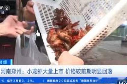 夏季“顶流”小龙虾批发价“跳水”六月将至，气温升高，成都夜市热闹非凡。许多美食爱