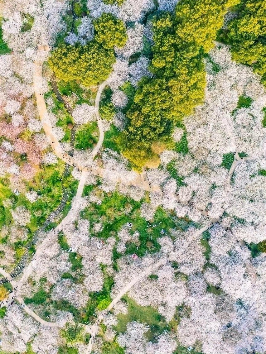 下一个暴富的人就是你 