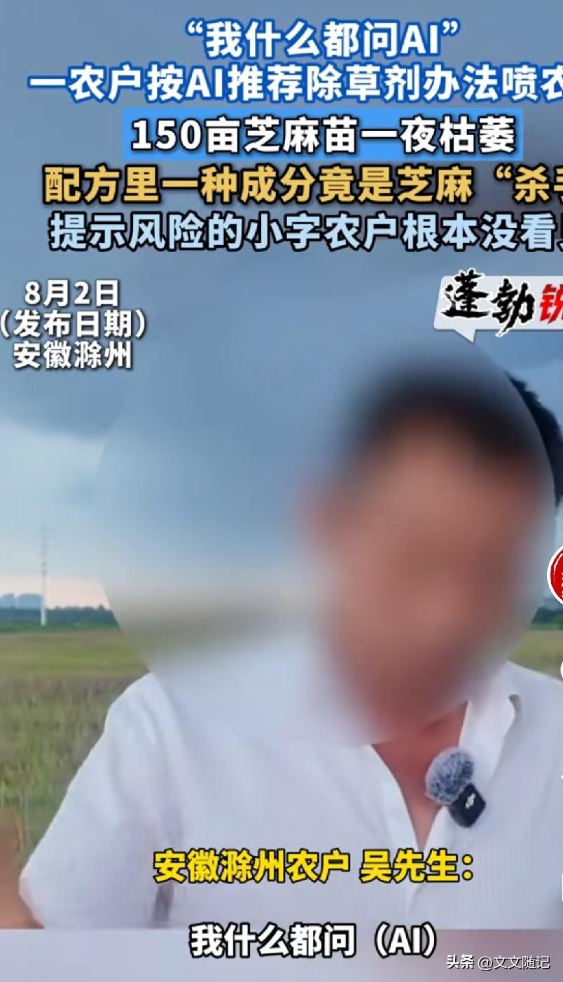 说真的，这事儿听着都替人肉疼。

河南那位大哥，种了150亩芝麻。他挺潮的，啥都