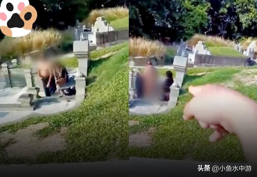 近期马来西亚社交媒体上热传一段中年男女在华人墓地发生不雅行为的短片，经确认事发地