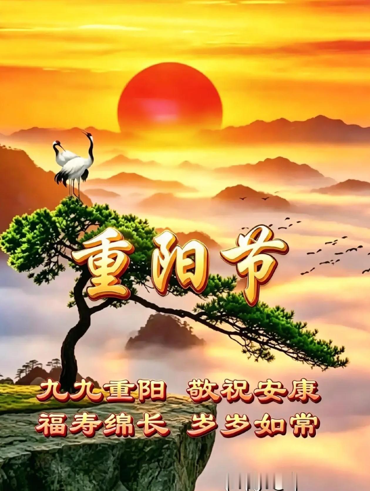 [福]2026./10月18日，秋菊悠悠送幽香，重阳登高念孝恩[福]
 
🌺?