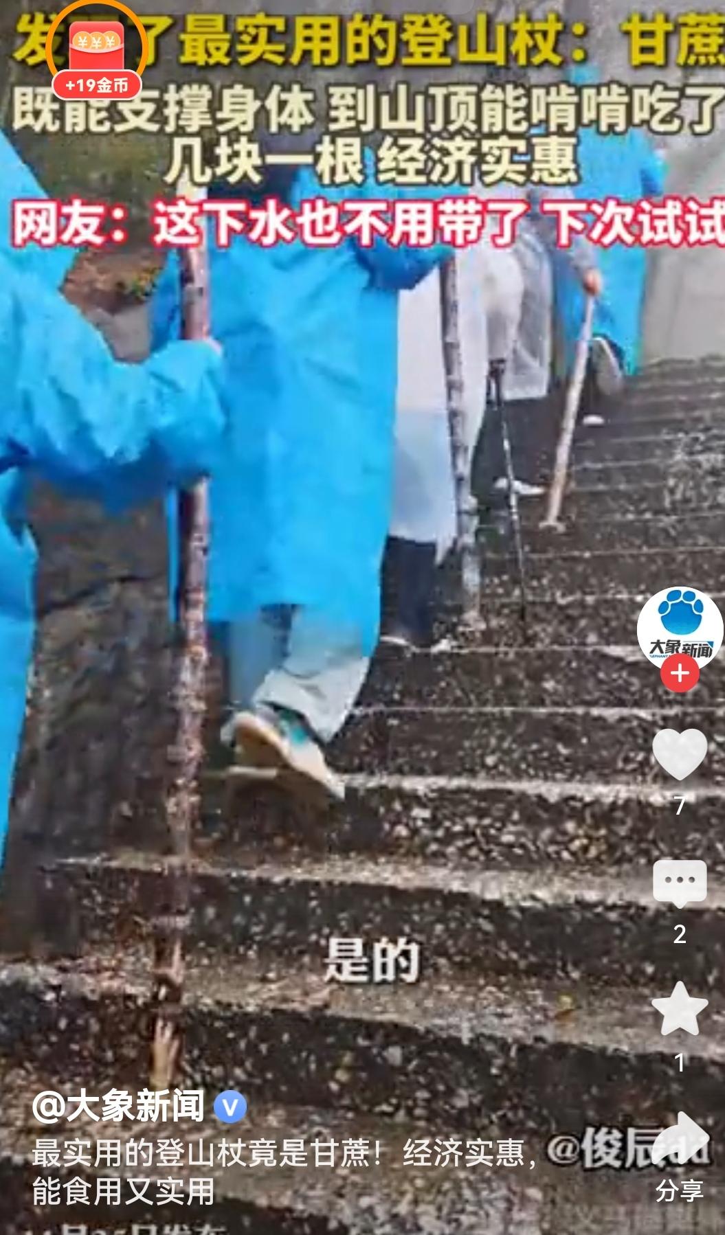 最实用的登山杖竟是甘蔗这波操作太会整活了！甘蔗当登山杖又能撑又能吃，经济实惠还自