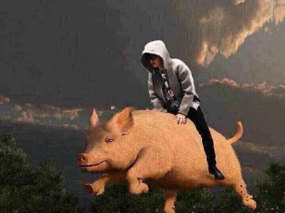 妖股——小盘+亏损+名字寓意炒名字：合富中国、人民同泰、华夏幸福、平潭发展、胜利