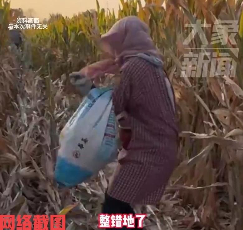 黑龙江齐齐哈尔有一家人来掰玉米。

只是在非常辛苦的付出自己的劳动，希望能早点干