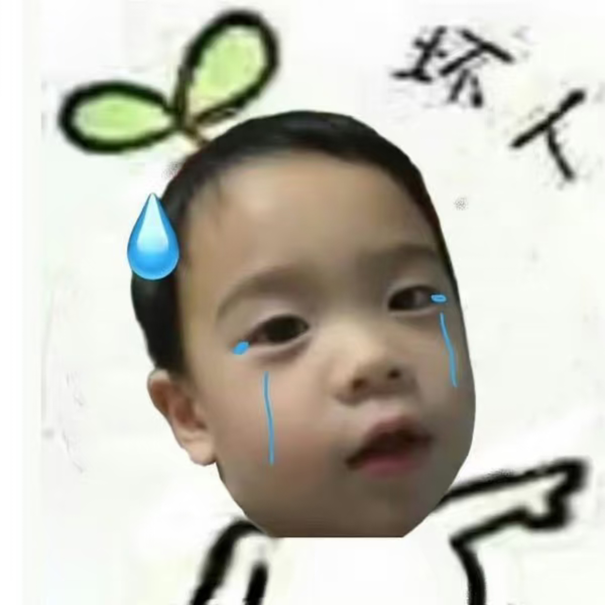 微博你就逗我玩吧[捂嘴哭] ​​​
