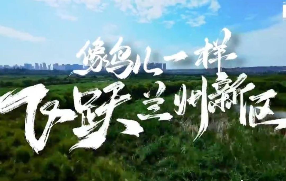情暖赤诚 兰州新区地处兰州北部秦王川盆地，是我国第五个国家级新区。让我们像鸟儿一