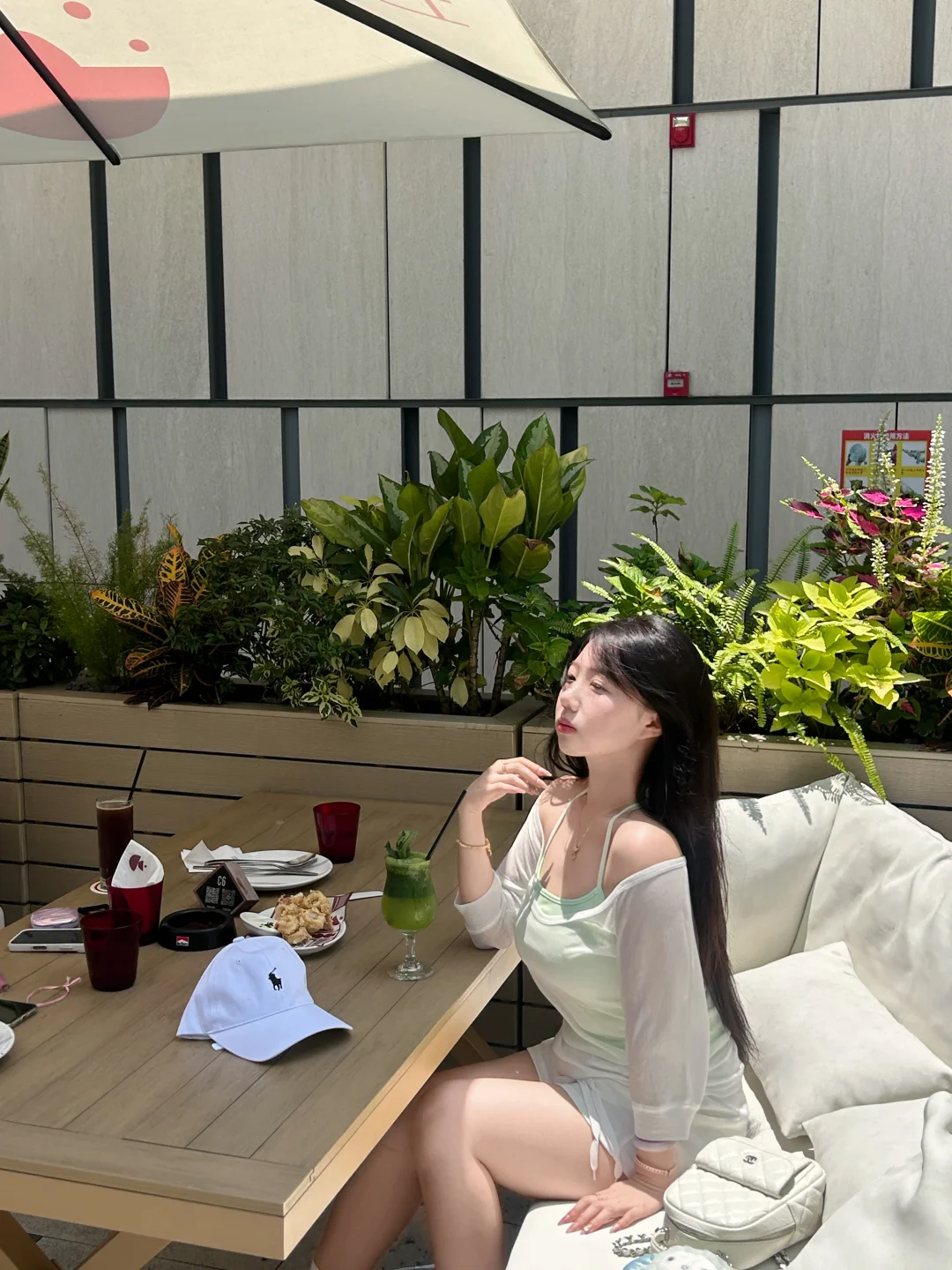 青木瓜之味