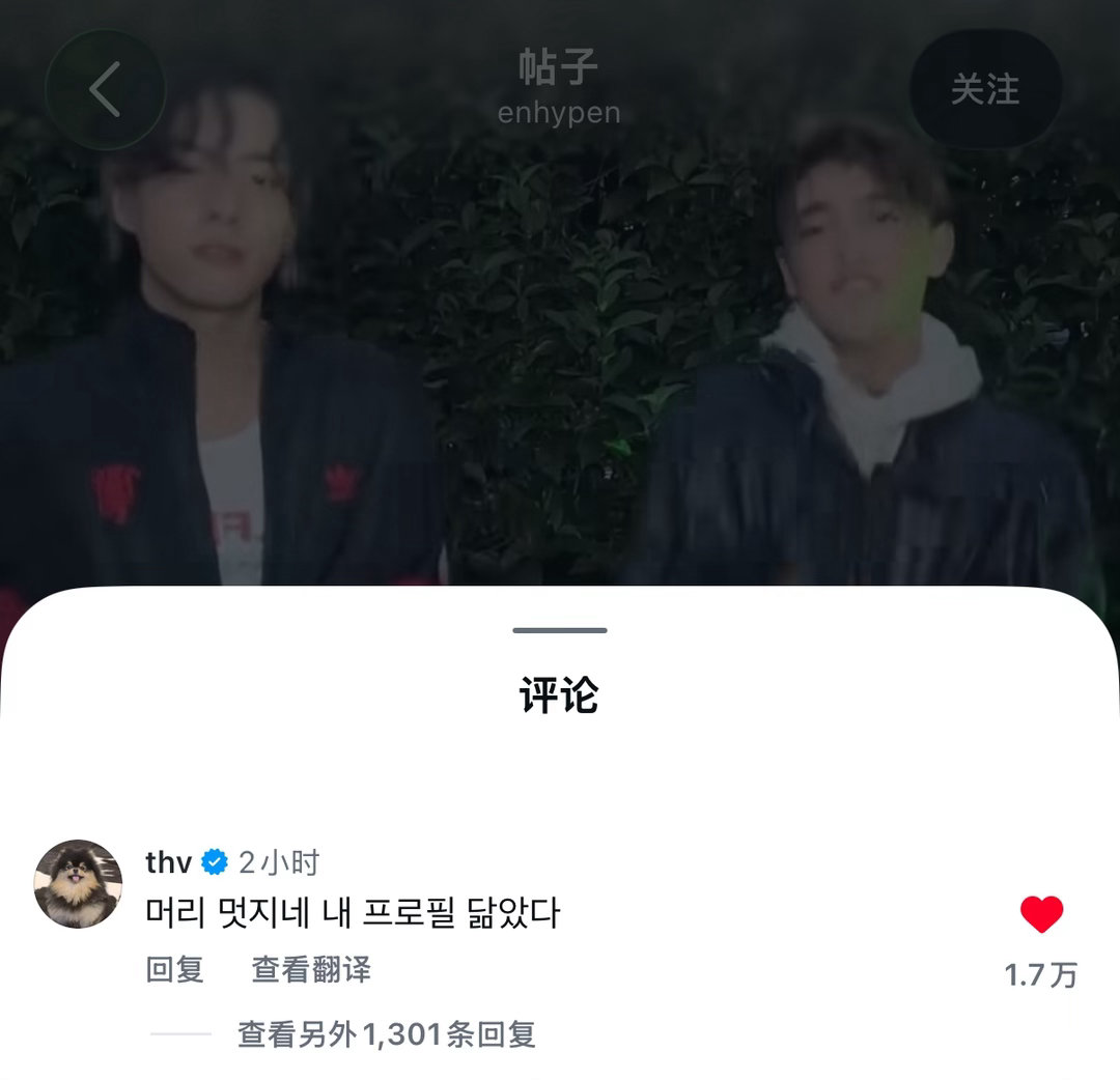 泰亨评论：你的发型好酷，和我的头像很像宝宝你才是正宗的碳碳头发色呀