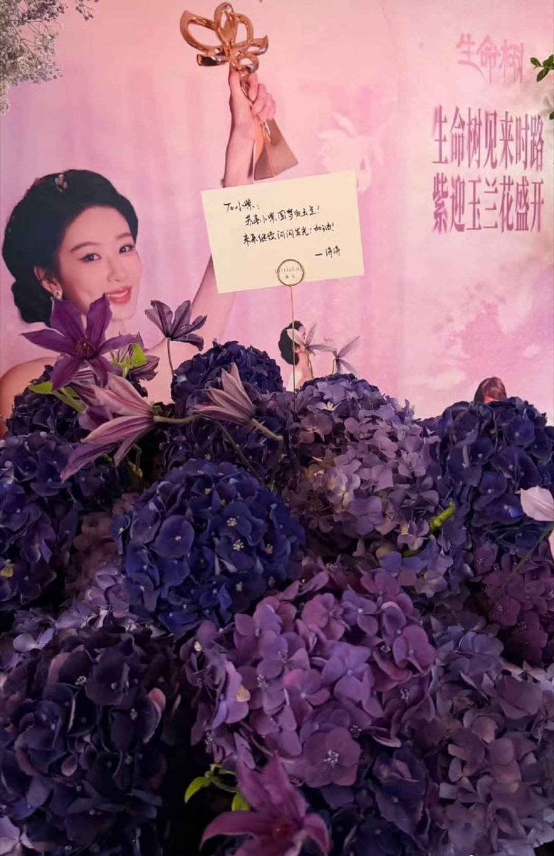 杨紫白玉兰庆功宴视后美美哒很安心
