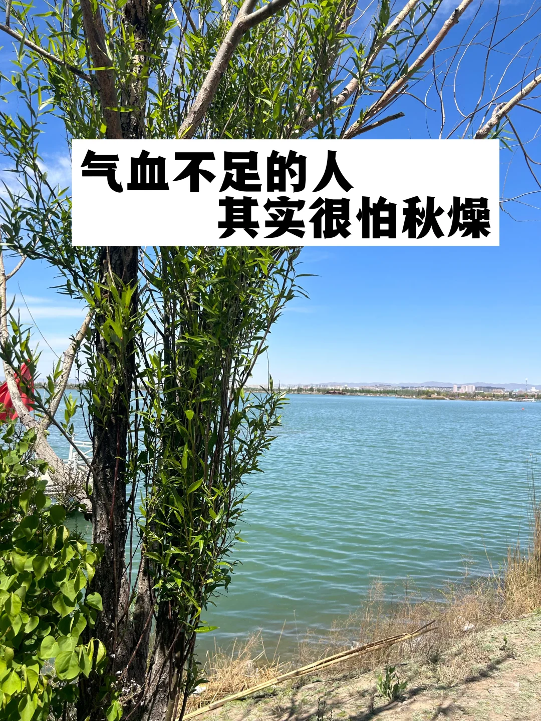 气血不足的人，其实很怕秋燥.