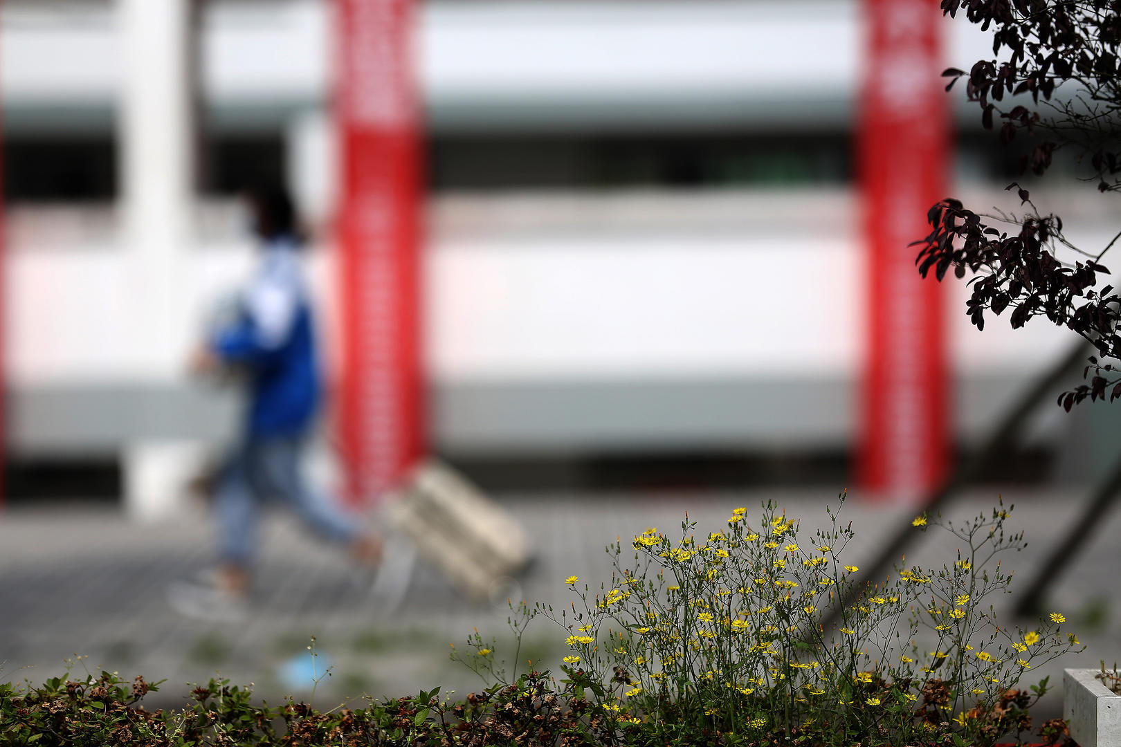 【#高中生熄灯后讲话被罚走读一周# 学校：只处罚个人，不存在“连坐”】#学校回应