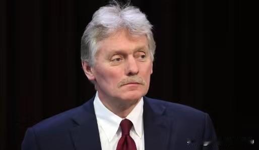 意法德三国关于与俄罗斯进行对话的立场是重要进展——俄罗斯总统新闻秘书佩斯科夫表示