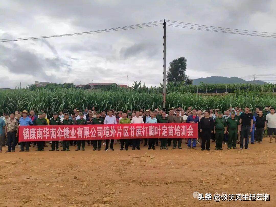 南伞糖厂去缅北地区培训甘蔗种植技术！

之前已经培训了无人机给甘蔗打农药，现在普