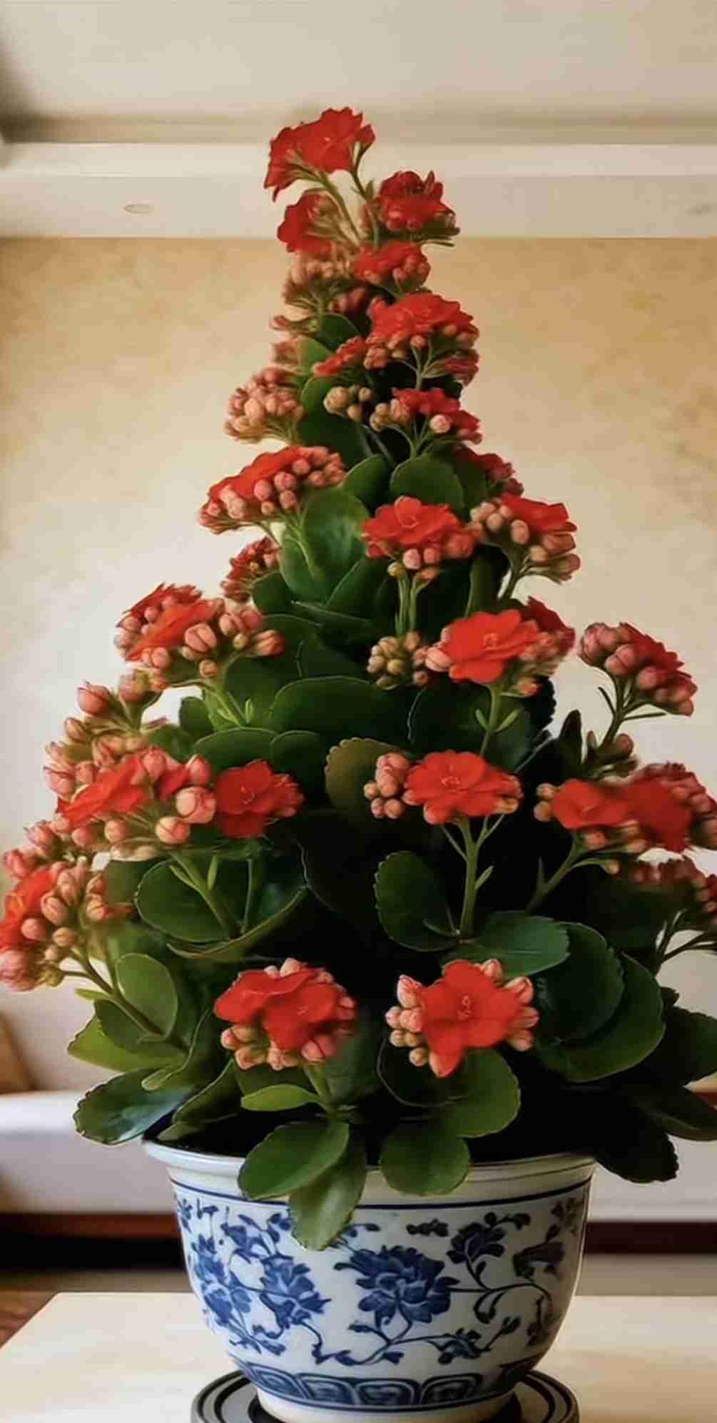 我的今日状态：😁轻松愉快
我这里的天气：☀️晴天，好天气，心情也很好。