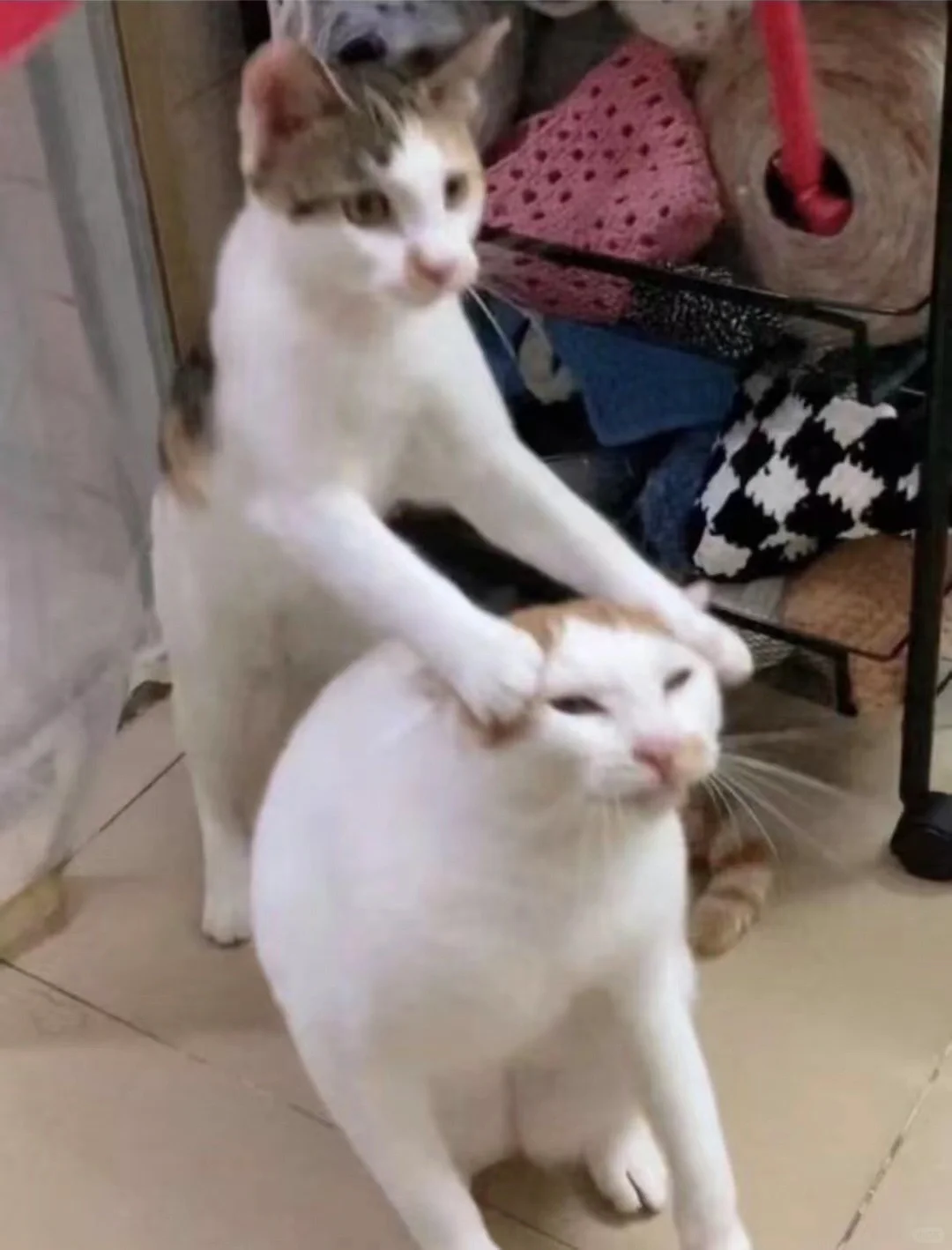 （132）工作累了就去爬楼