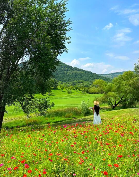 啊，在济南，油画莫奈花园，不是新疆