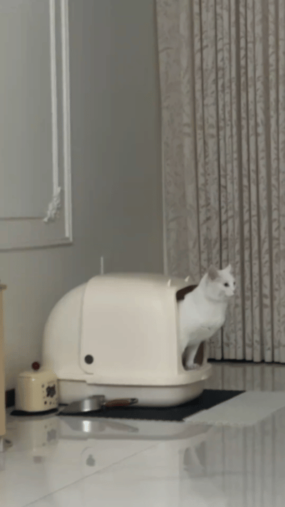 拉着拉着拉黄包车去了… ​​​