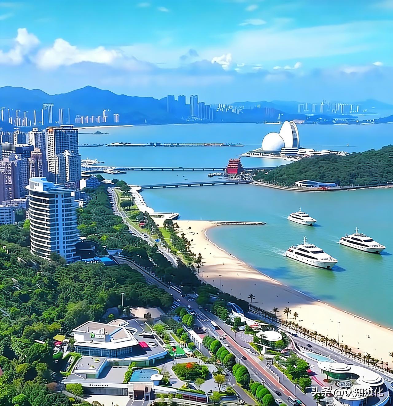 街头采访的年轻人说:
“我不想结婚，不想要孩子，可能50岁就要开枪自尽！自己的未