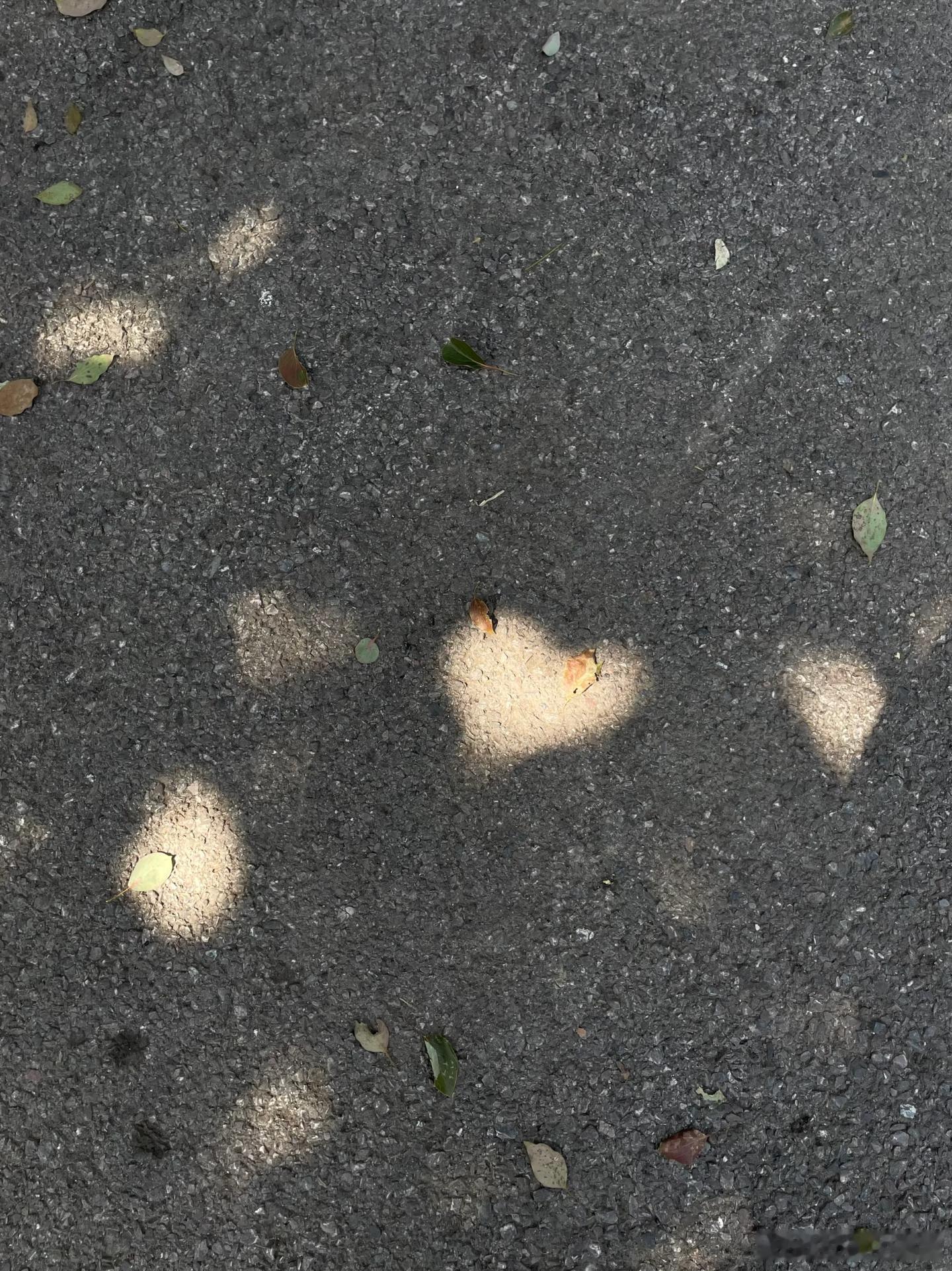 哇，发现一个爱心缝隙 