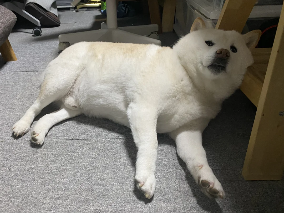 高枕无忧