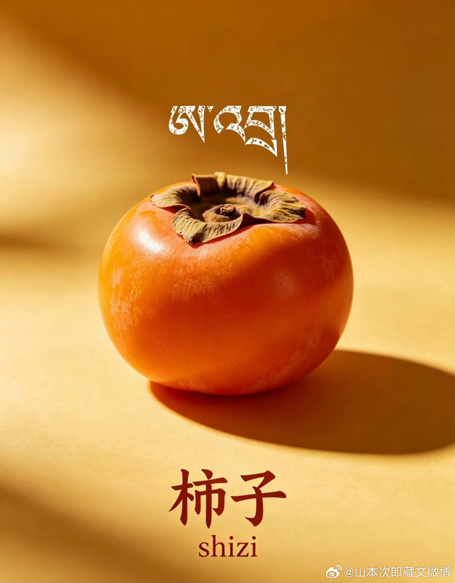 ༄༅། །ཤིང་ཏོག། ཤིང་གི་འབྲས་བུ། བཀྲེས་པས་ཤ