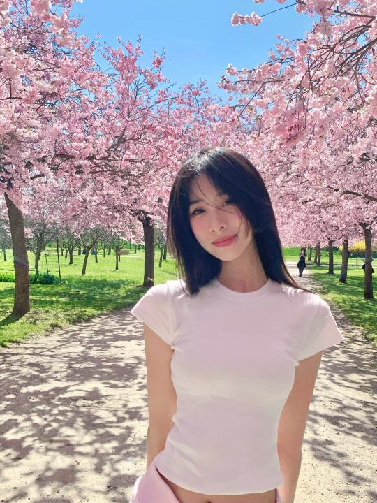 春天 樱花盛开