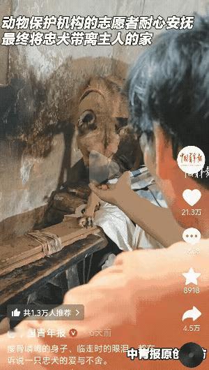 看哭了！重庆独居老人离世后
狗狗的反应真的戳中了所有人心

最软的地方。七旬老人